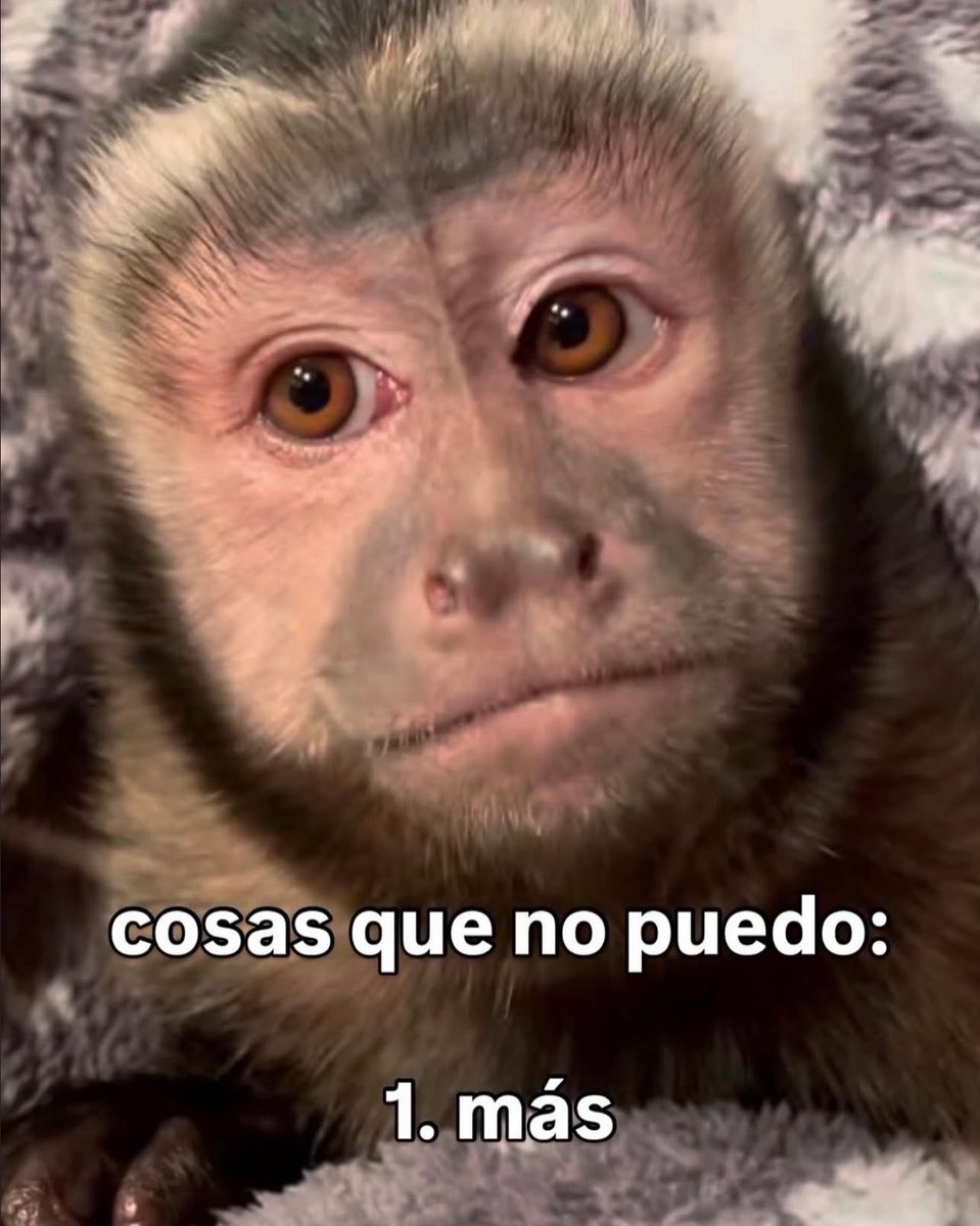 skereunpesado's tweet photo. https://t.co/FoRiTFUUq3