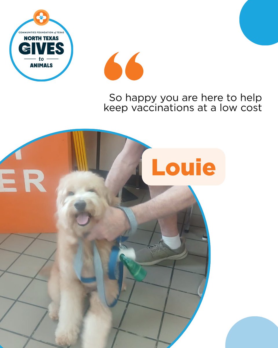 SpayNeuterNet's tweet photo. Thanks to donors like you, pets like Louie can get low-cost care their families can afford.

During North Texas Gives to Animals, your gift helps keep vaccines and wellness services accessible for more pets across North Texas.

Give today: https://t.co/vmRXevHmxd https://t.co/TRh3gJYI0X