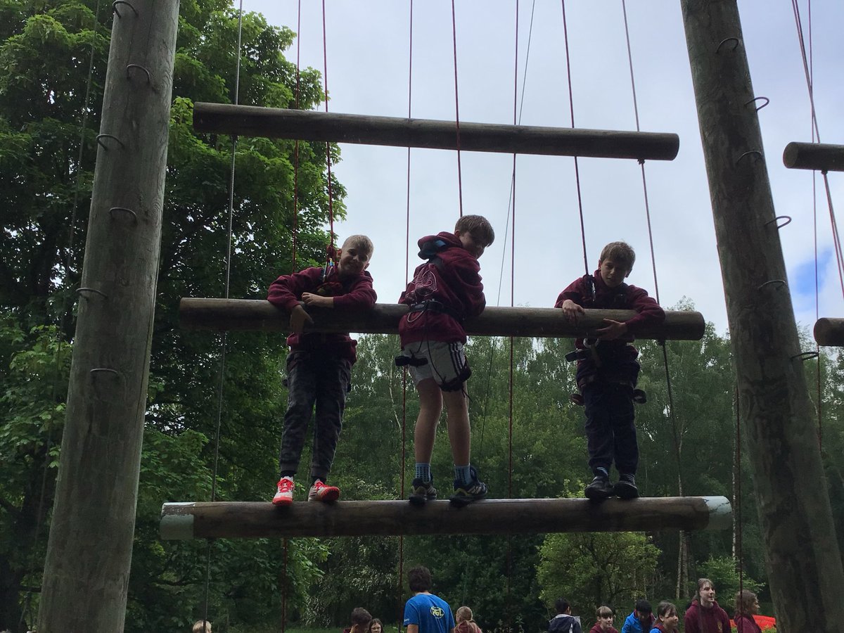Widney Junior School tweet media