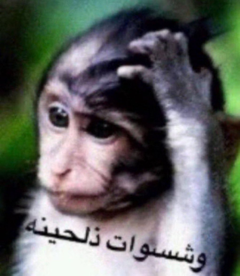 يوسف tweet media