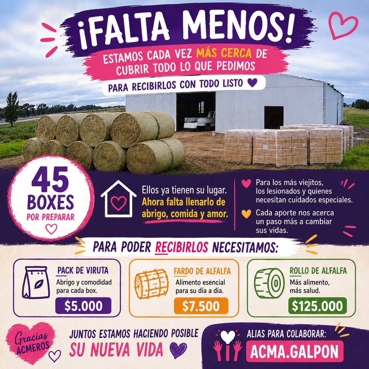 ACMA CABALLOS tweet media