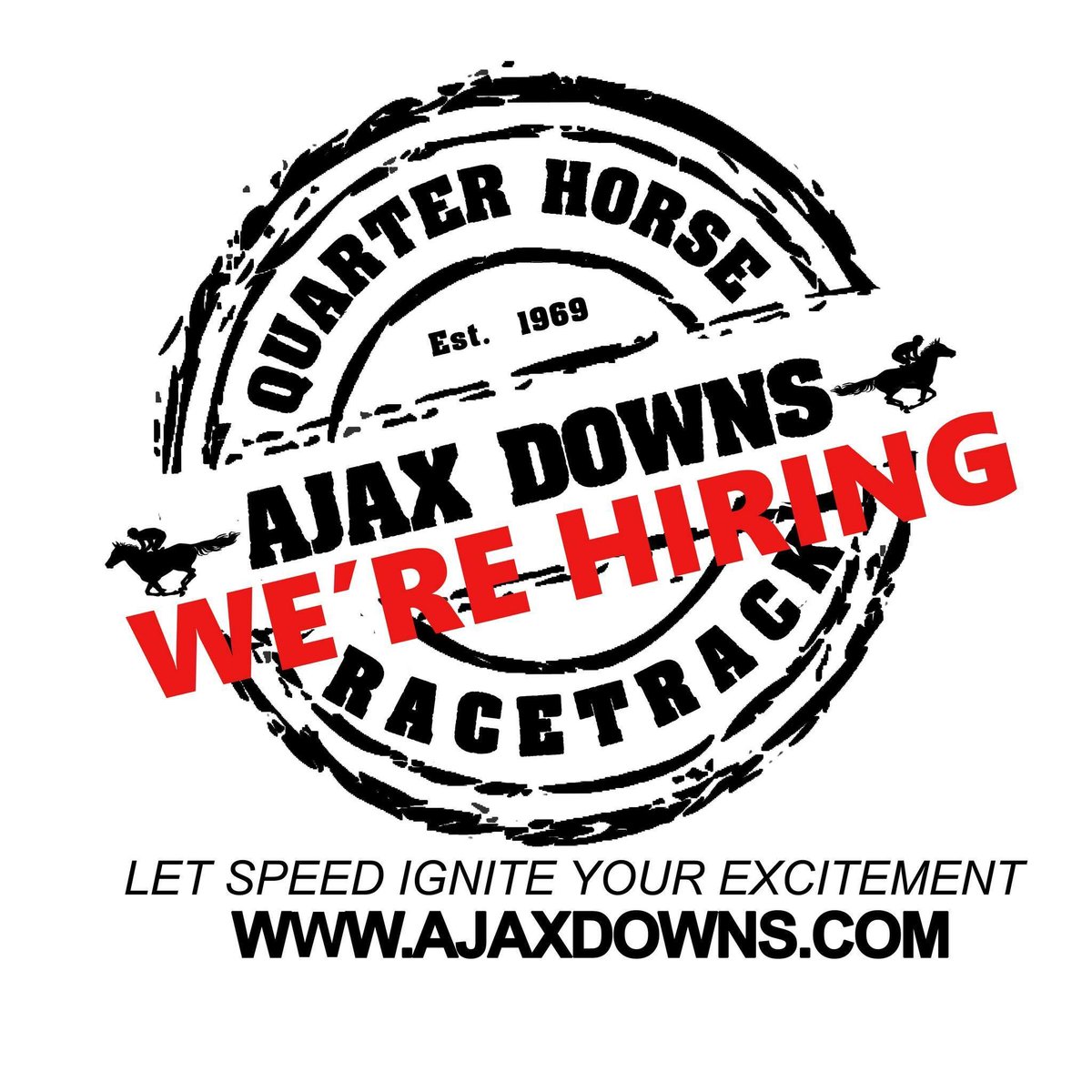 AjaxDowns's tweet photo. WOULD YOU LIKE TO BE A PART OF OUR AMAZING TEAM AT AJAX DOWNS?
WE ARE HIRING A LEAD OUTRIDER FOR THE TRACK 
https://t.co/1HqikrJF0M https://t.co/LqhYQD4FKL