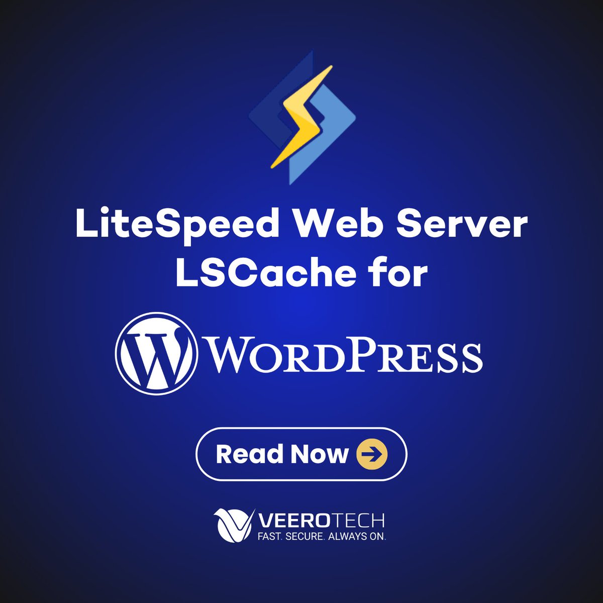VeeroTech Web Hosting tweet media