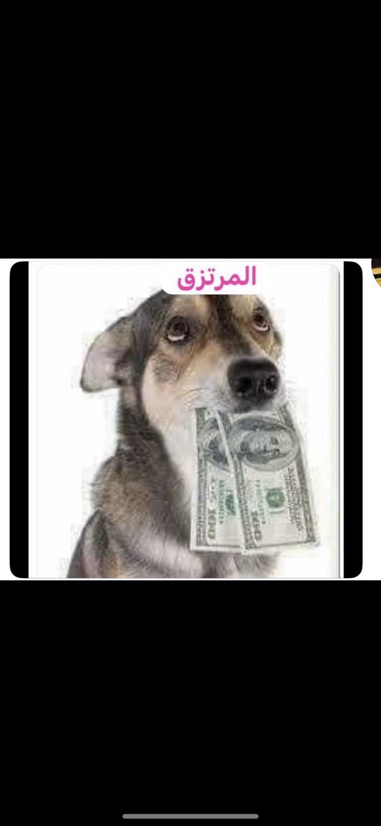 مواطن محب لبلده tweet media
