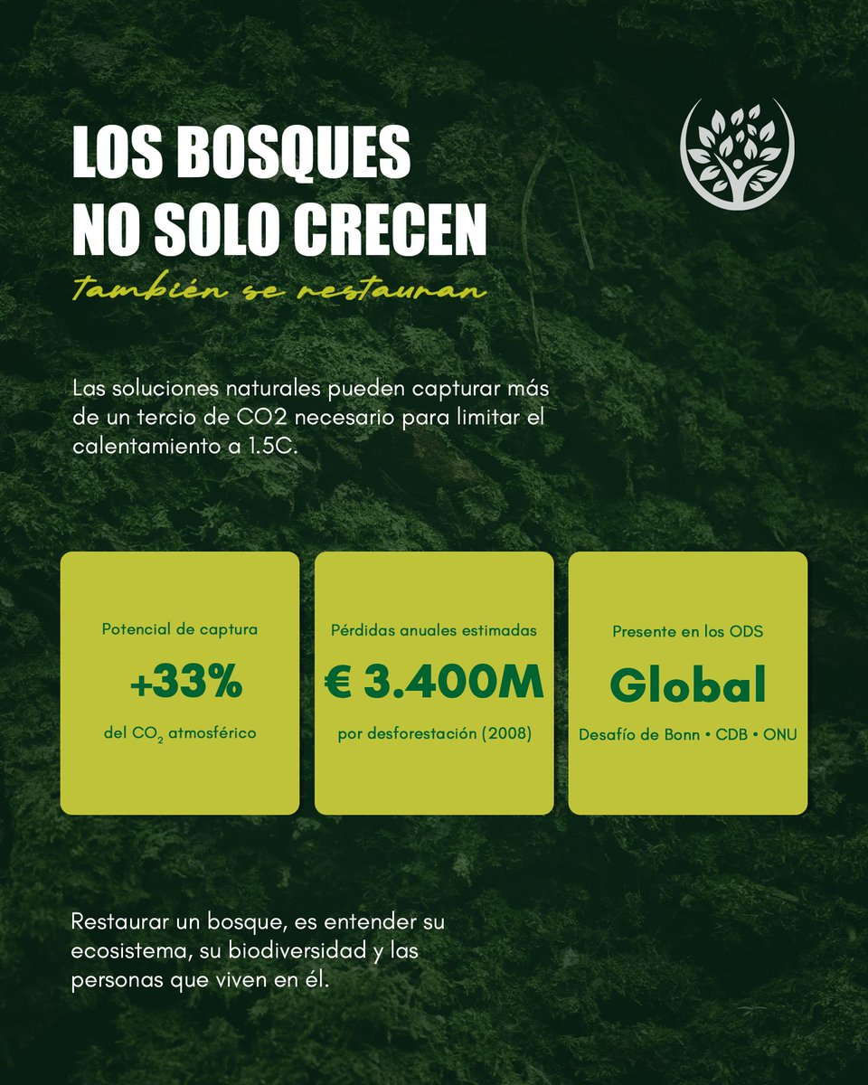 fonabosque's tweet photo. Los bosques absorben carbono, protegen el agua y sostienen la biodiversidad. Pero cuando se degradan, no se recuperan solos.

La restauración forestal es hoy una de las apuestas más importantes para frenar el cambio climático y ya forma parte de los grandes acuerdos globales. https://t.co/EbfIzuj5hx