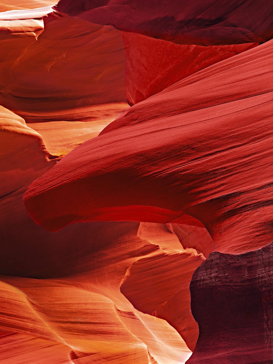 Peter Lik tweet media