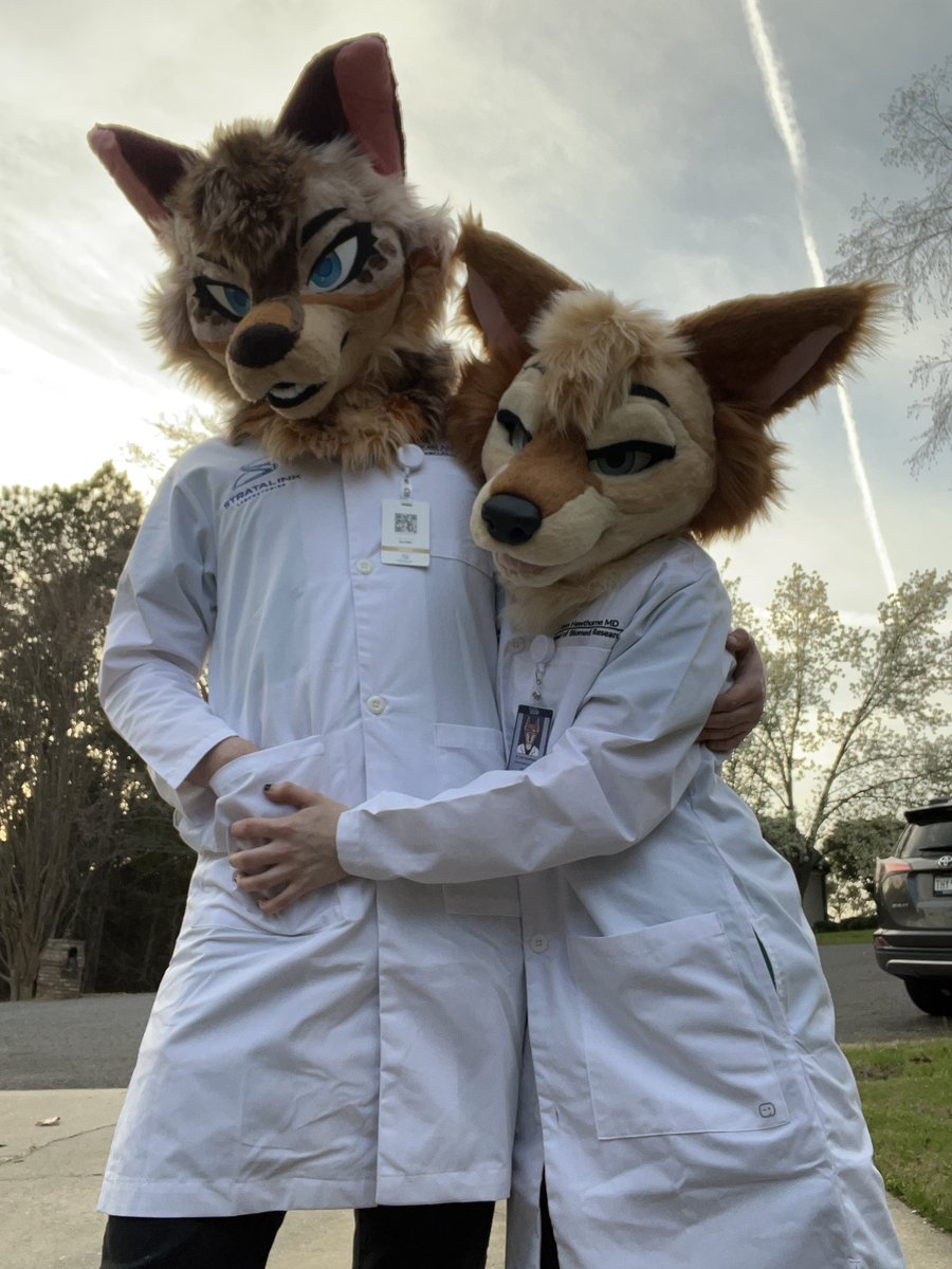FennHawthorne's tweet photo. barks my name is Fenn~ 
i’m an ethiopian wolf! 
my fursuit was made by my fiance and i on a @/yazurscritters ‘s base! 

this account is sfw (at most suggestive) but only wanna interact with those 18+! 
— https://t.co/c8IrVZRfXR