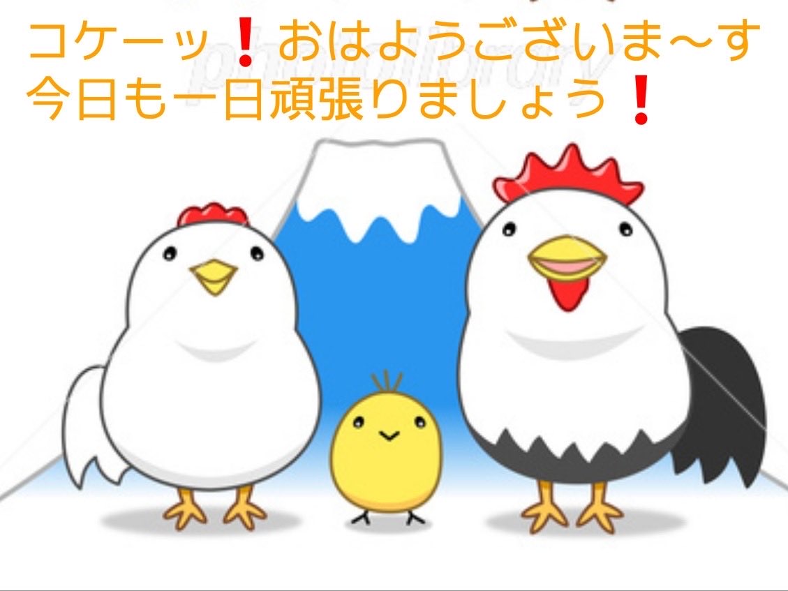 ヨッシー (@AOGSDkw5Qmr1X51) / Posts / X