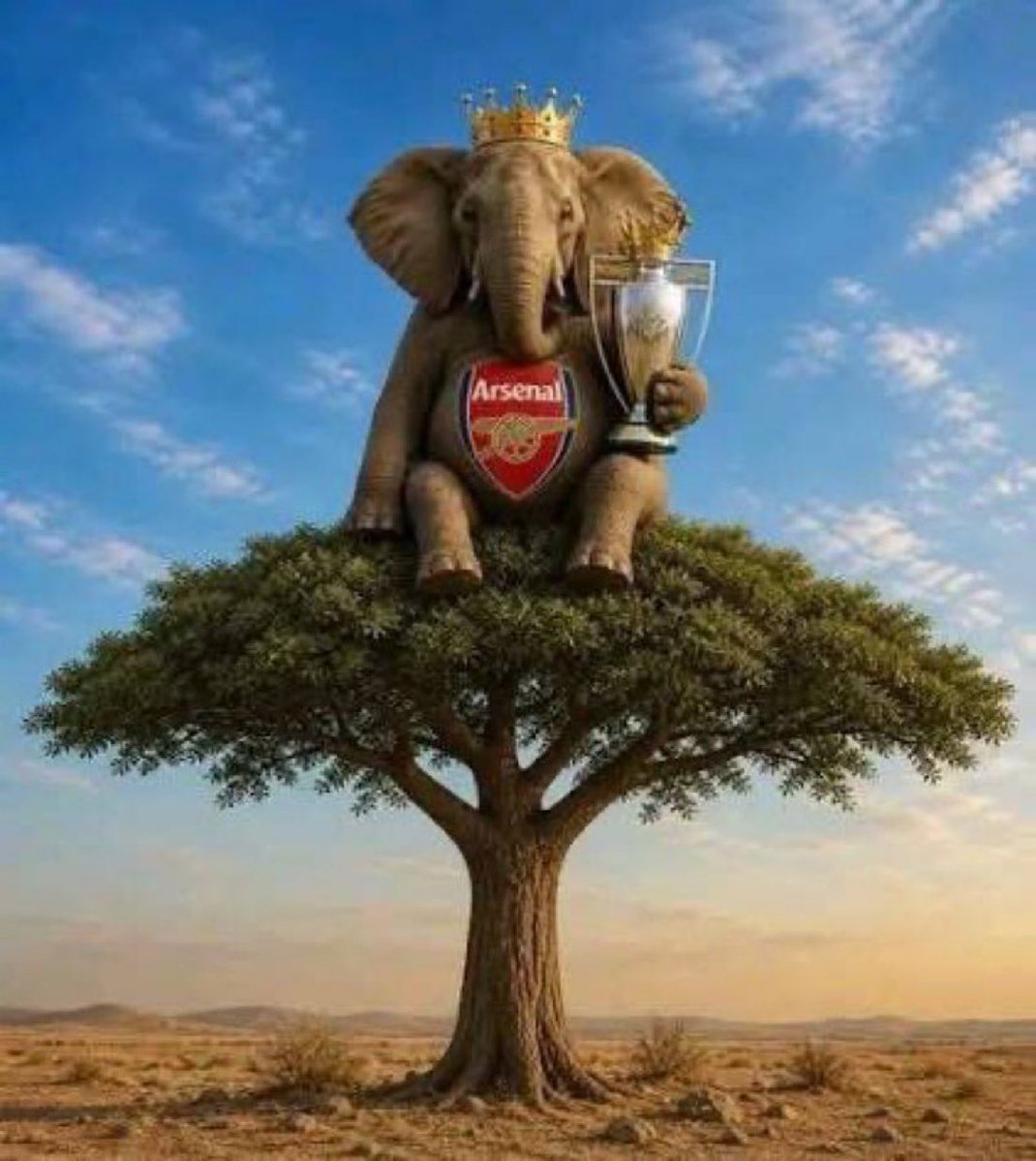 M0tb7's tweet photo. والله وصارت 

فريقهم ماضيع نقاط سهلة كثر السيتي 
الكوارث اللي صارت ضد تشيلسي توتنهام ويست هام نوتنغهام ايفرتون مستحيل تحقق الدوري بسببها

الفريق الأقل اغلاط حقق الدوري https://t.co/DWYnBoUYke