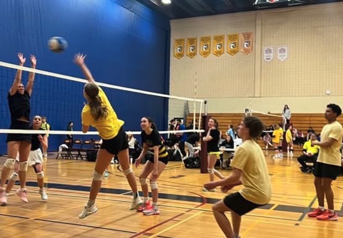 LockerbyNet's tweet photo. The ‘Spring Sports Season’ is well underway!  From soccer to disc golf and everything in between, our Viking Athletes are training hard and competing to win! https://t.co/im26LUMNMj