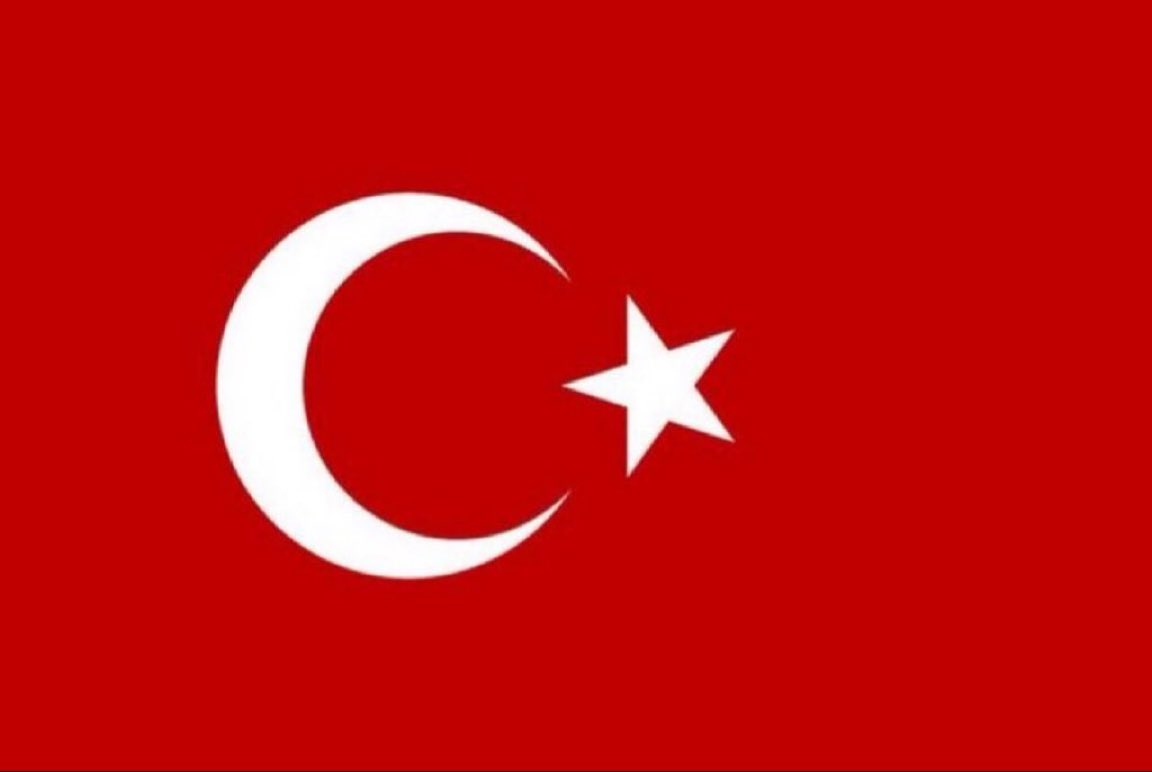 Gökçe Katun tweet media