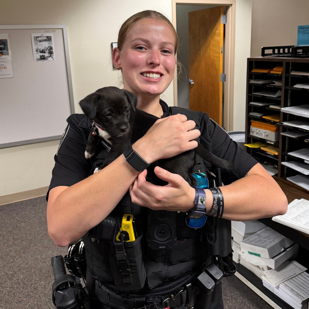 Greensboro Police Department tweet media