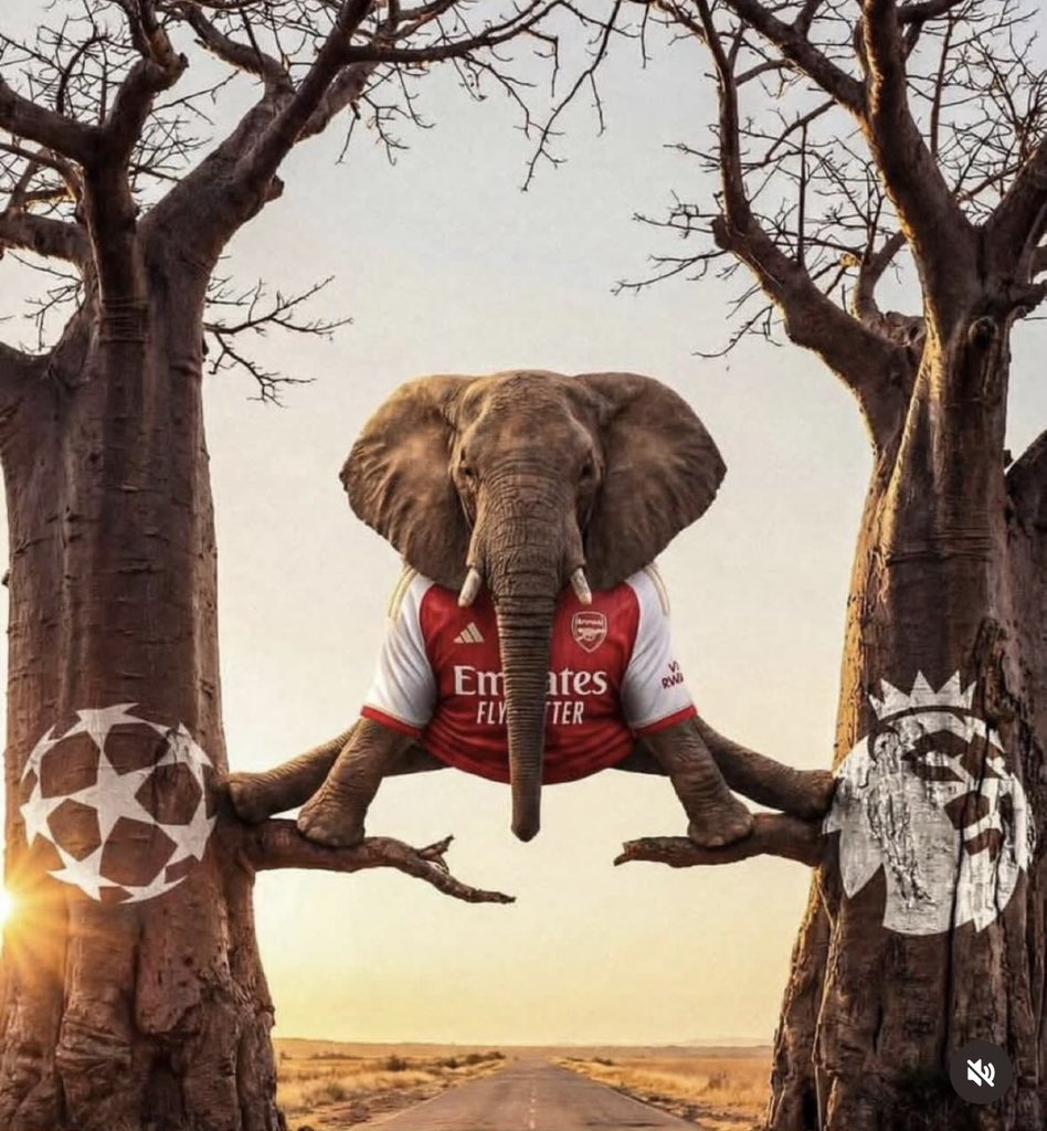 NamibianCleaner's tweet photo. The Elephant has glued himself onto the tree 🔥🔥🔥😂😂😂 https://t.co/2ve2rPgOCA