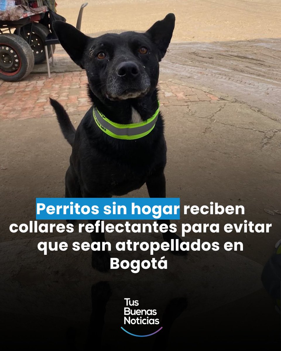Tus Buenas Noticias tweet media
