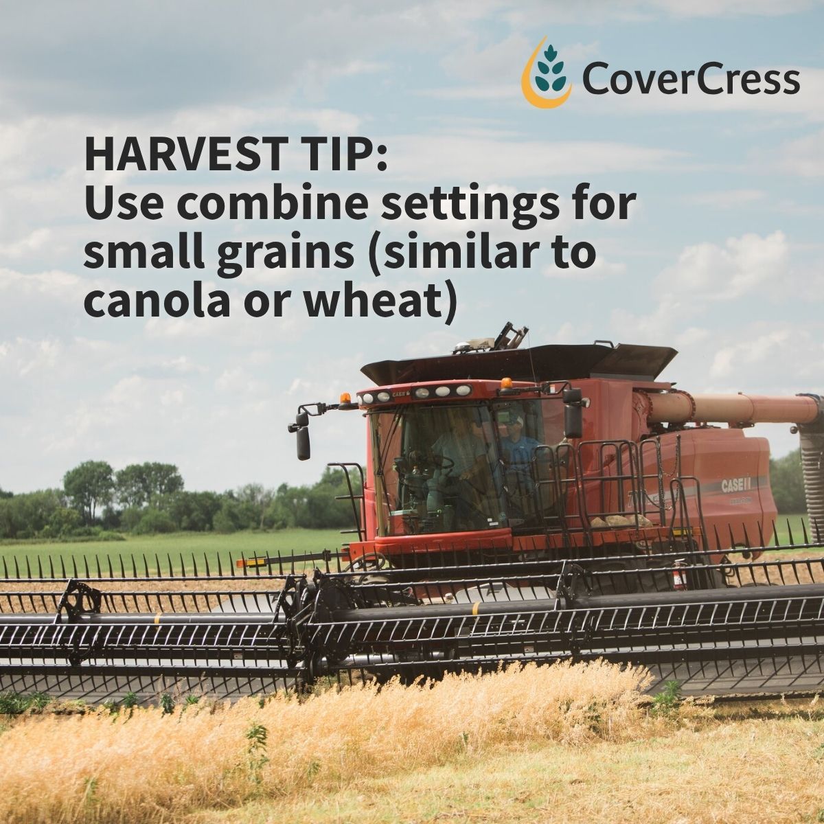 CoverCress's tweet photo. CoverCress harvest tip: Start with canola or wheat settings and adjust as conditions change.

#CoverCress https://t.co/N9ylvv351v