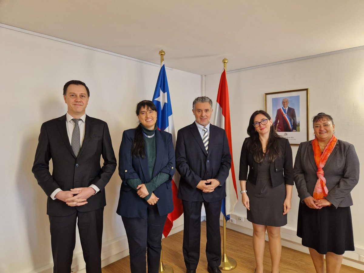 Ministerio de Energía tweet media
