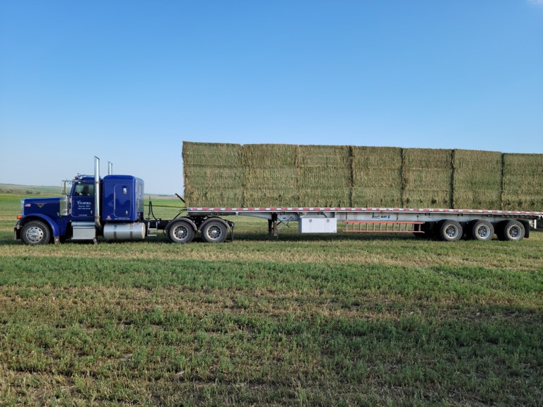 KevinZylstra's tweet photo. Looking for other people in the hay industry to join me in contacting the following organizations to politically persuade the Minnesota Department of Transportation to allow the use of the annual Baled Farm Products permit and the Special Farm Products permit together to transport oversize and overweight loads of hay weighing 90,000 pounds with 6-axles and 97,000 pounds with 7-axles.  This is a request for an Emergency Relief Provision relating to the droughts, fires, and high fuel costs.

The statutes for these permits both use the language "may issue" and currently the Minnesota Department of Transportation does not allow the combining or stacking of the two permits.  This does not require legislation.  It requires the Commissioner of Transportation to choose to do so.

These organizations know how to get this done.  Please consider helping the industry.  Thank you.

Minnesota Farm Bureau:
info@fbmn.org
651-768-2100
Minnesota Farmers Union:
info@mfu.org
(651) 639-1223
Minnesota State Cattlemen's Association:
mnsca@mnsca.org
763-479-1011
Minnesota Milk Producers Association:
mmpa@mnmilk.org
(320) 429-4838
