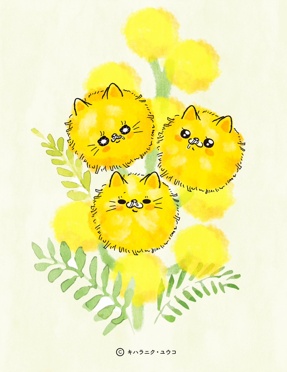 おはようございます^ơωơ^ にゃーかいミモザに変身✨ マイペリドット