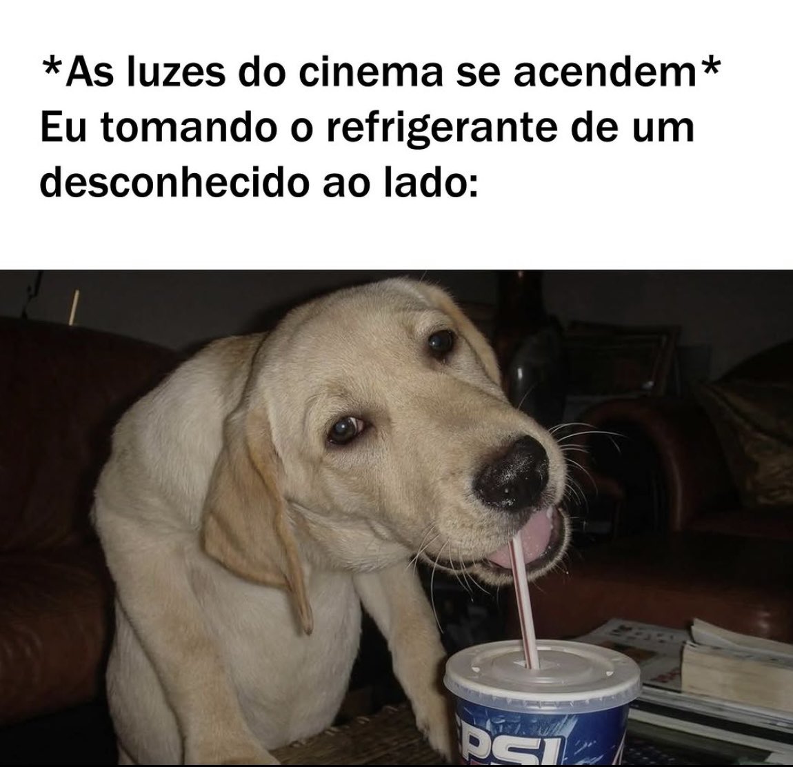djamba vencida tweet media