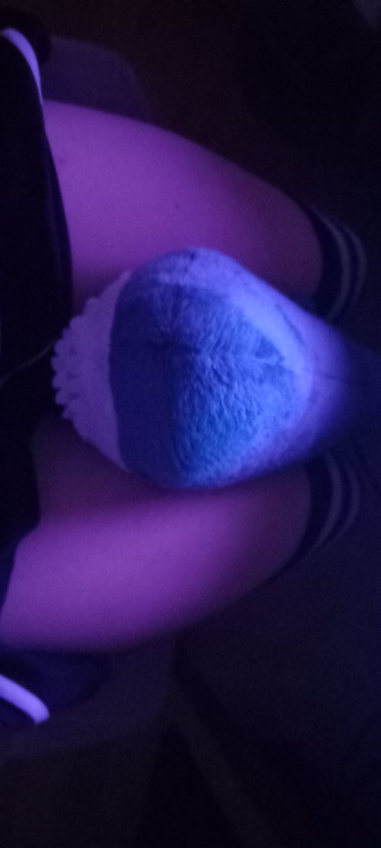 FemboyDreamer07's tweet photo. crushing my blåhaj :3 https://t.co/YoLqAPOFek