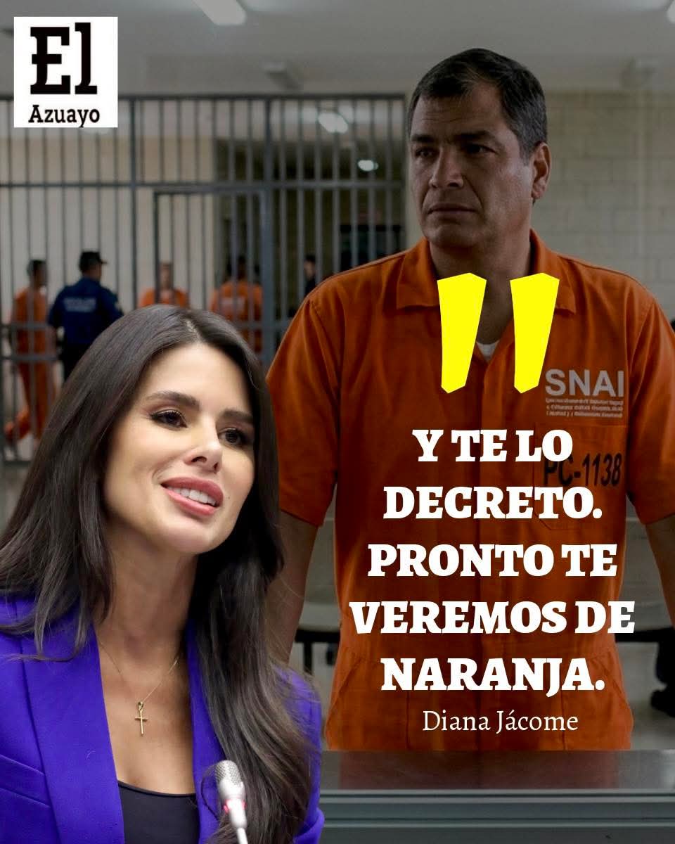 Davidy suarez tweet media