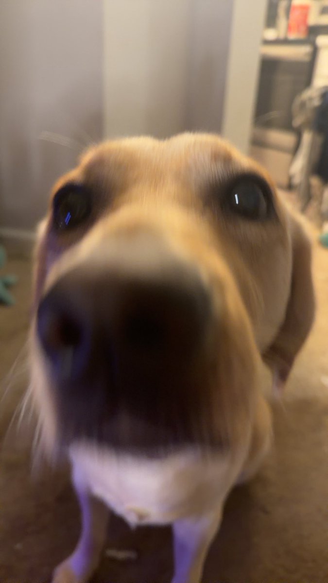 Adylify's tweet photo. Live🧌

New Update w Cam👀

https://t.co/eK5q9uUEPQ
https://t.co/eK5q9uUEPQ https://t.co/Ljs7bsQDlA
