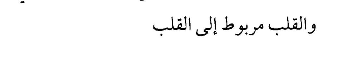 هديل🕊 tweet media
