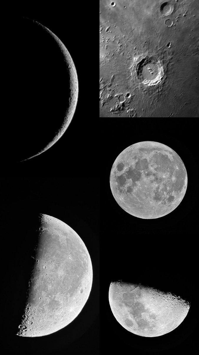 HadeelInSpace's tweet photo. أطوار قمرنا 🌘🌗🌖🌕🌒🌓🌔 https://t.co/7TT9EB8rNO