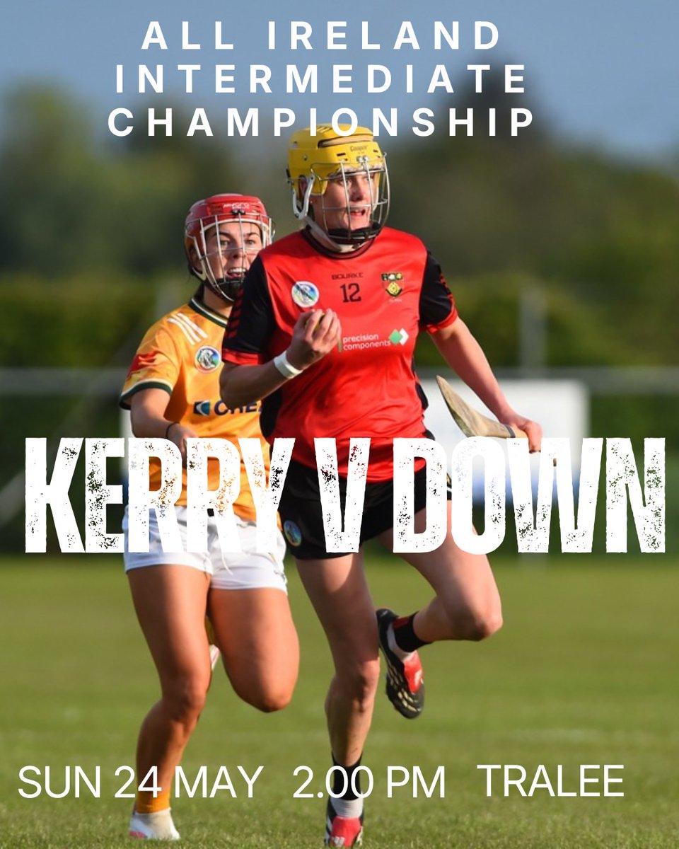 Official Down Camogie tweet media
