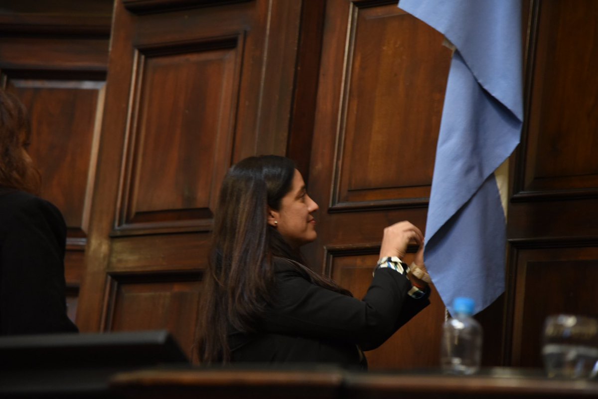 Senadores Cambia Mendoza tweet media