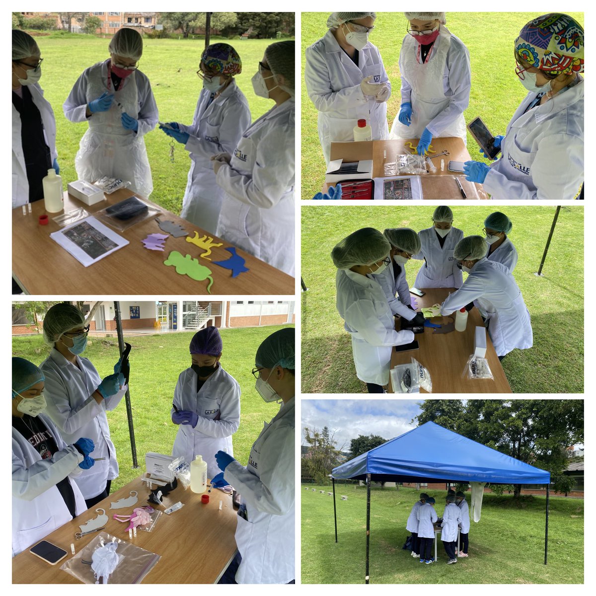 EpiPublicHealth's tweet photo. Práctica/Simulacro de detección y muestreo epidemiológico en campo para la investigación de brotes, epidemias o epizootias 🦠 en el espacio académico de Epidemiología @dsolert del Programa de Medicina Veterinaria @unisalle https://t.co/UjnpB6m7iQ