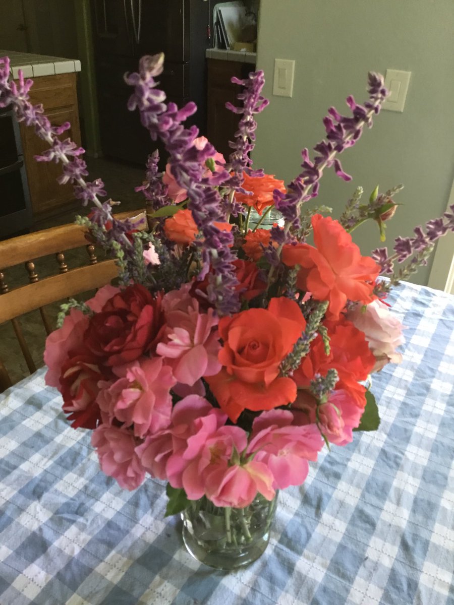 PierRoller's tweet photo. With a little time a little work and some water you can get these out of your yard just like we did. Love the roses https://t.co/7Wavab1H7j
