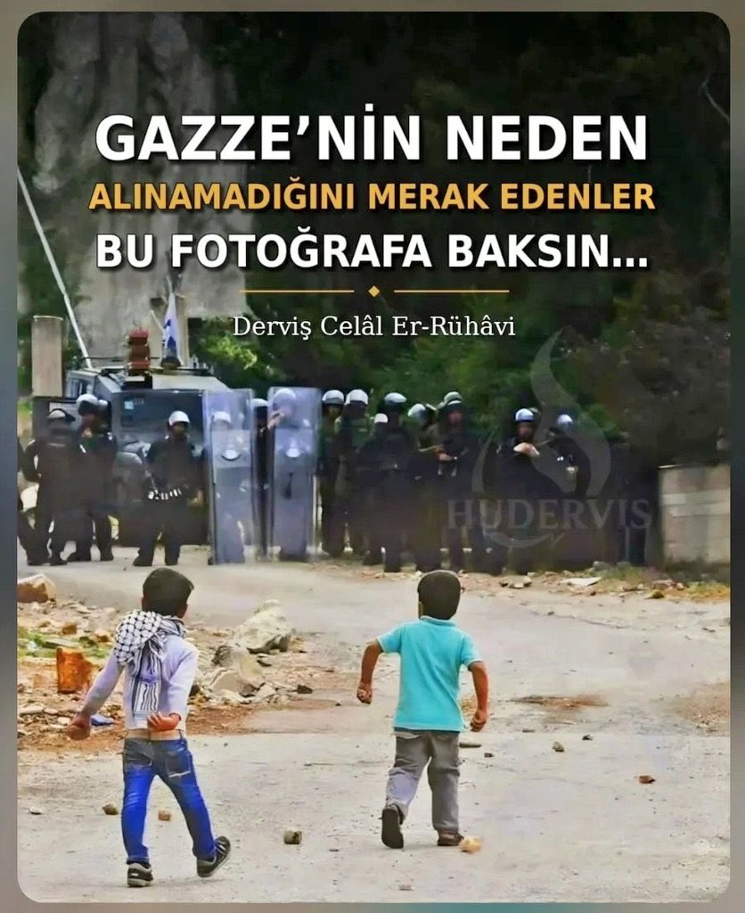 Fidanesn tweet media
