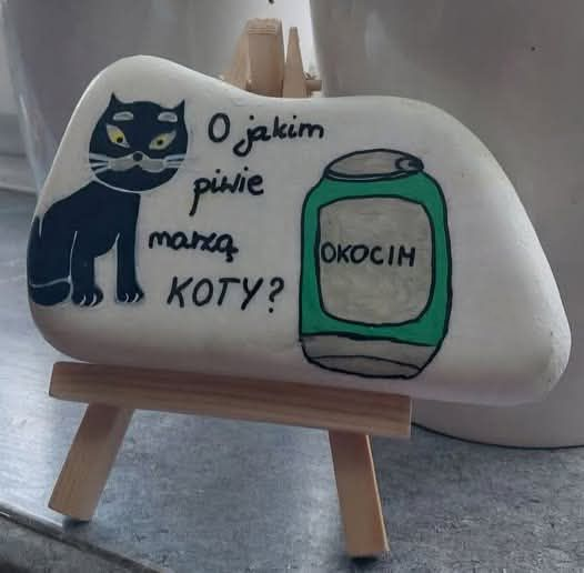 BrunoJasienski's tweet photo. https://t.co/vn3R16YXpQ