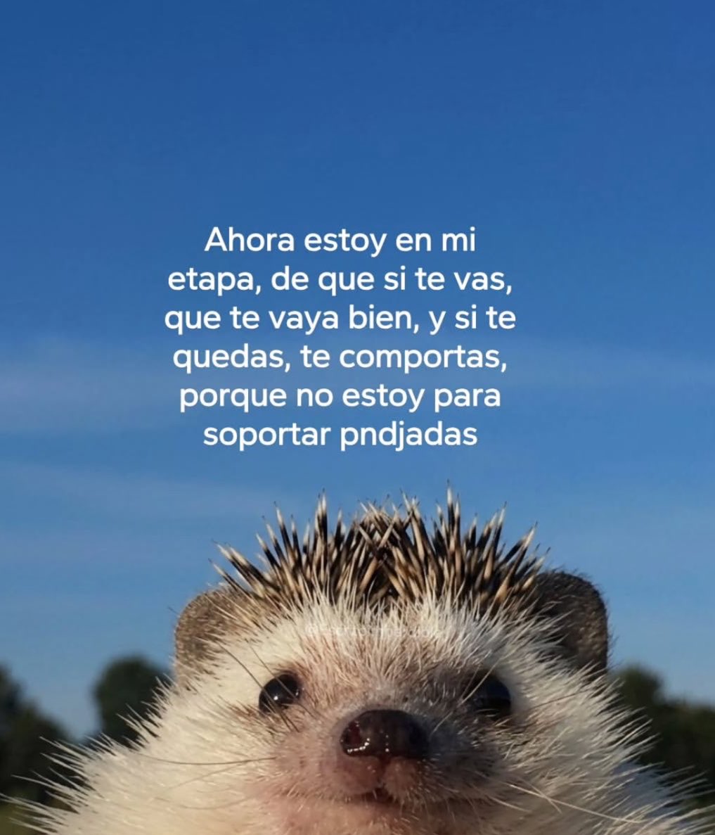 🌙 mini textos tweet media