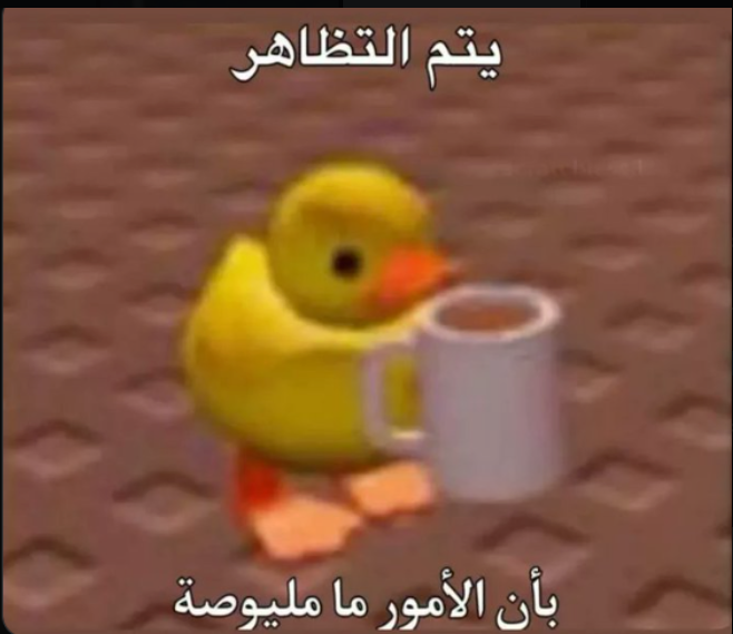 sudo tweet media