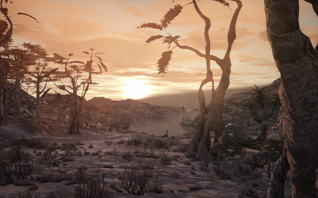 Kenshi tweet media