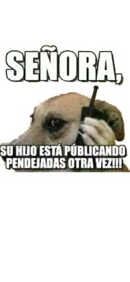 gerardo rodriguez tweet media