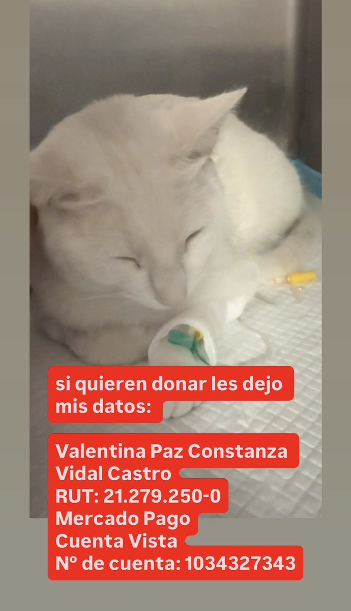 hachiiqt's tweet photo. RT PORFAVOR, ayúdenme a salvar a mi Milky😭🤍 https://t.co/AbmWIngMh8