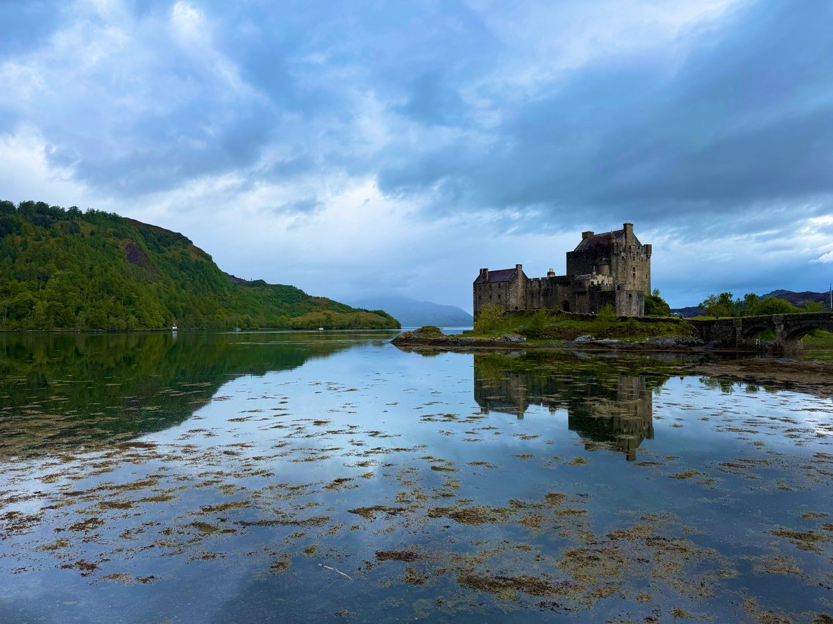 James MacInnes tweet media