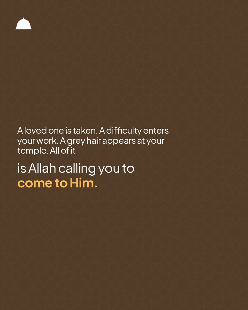 Al-Madina Institute tweet media