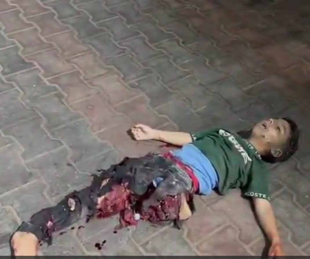koyundelisi34's tweet photo. israil soykırımcıdır
israil bebek katilidir
israil devlet değil terör örgütüdür

“Gazzeyi Unutma”
#WorkForGaza https://t.co/XMwbK8dO7M
