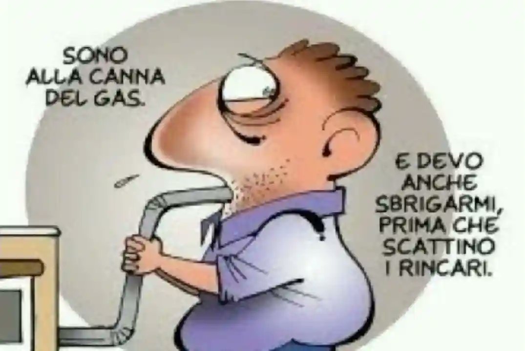 Maurizio tweet media