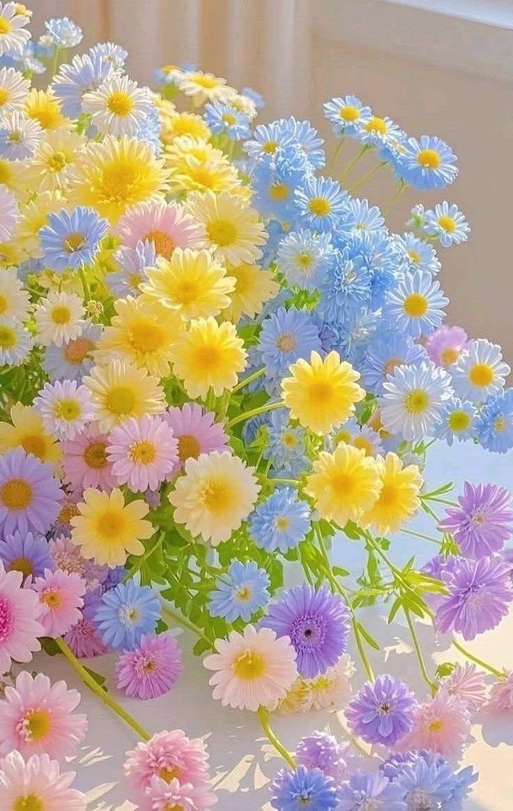 Solithra's tweet photo. https://t.co/5el9rWY1qK
