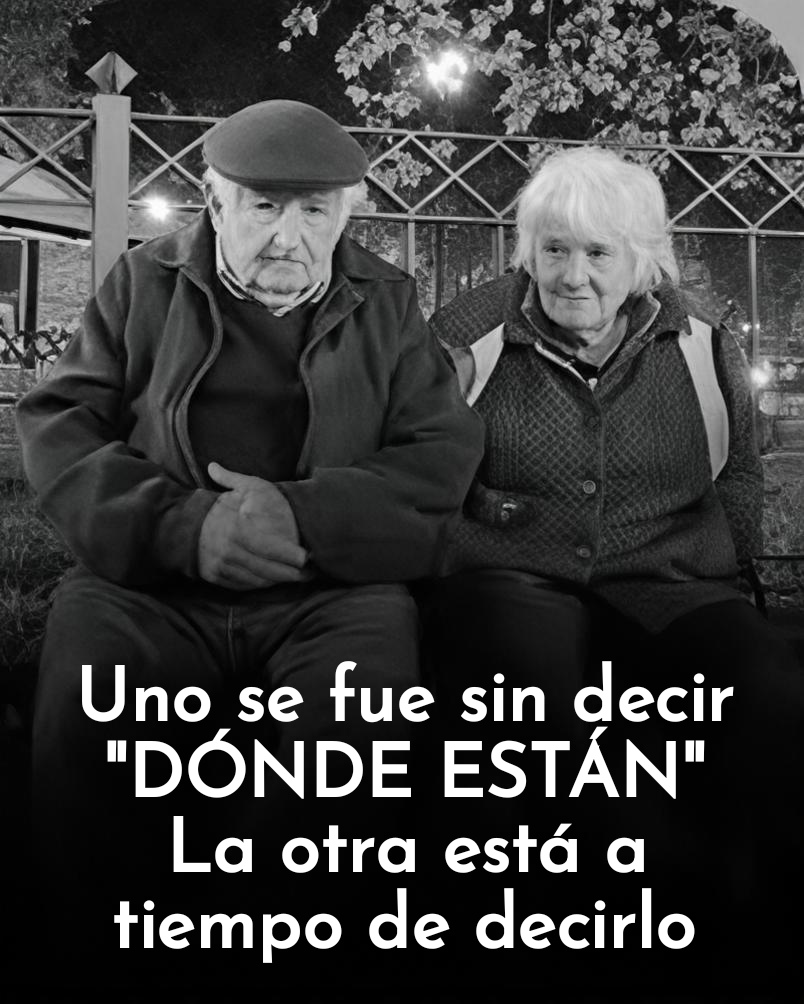 Yo el Uno tweet media