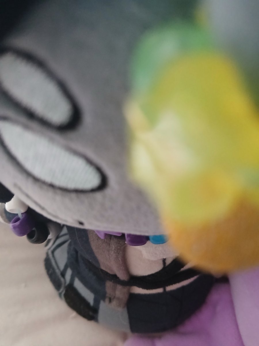‧₊🐾˖˚ 𝐑𝐨𝐜𝐤𝐲 !✩| SUPPORT REN tweet media