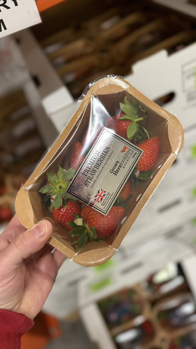 FirstChoiceVeg's tweet photo. You will not find a better strawberry 

@AntSnell ❤️

In stock now

02074980550
Sales@firstchoiceproduce.com 
https://t.co/jIH6JU9JUx https://t.co/SWZwGPdJpC
