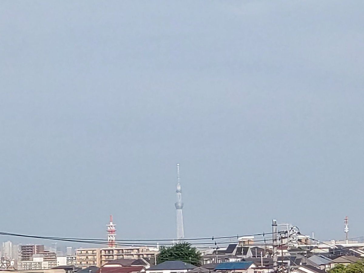 ショーイチ tweet media