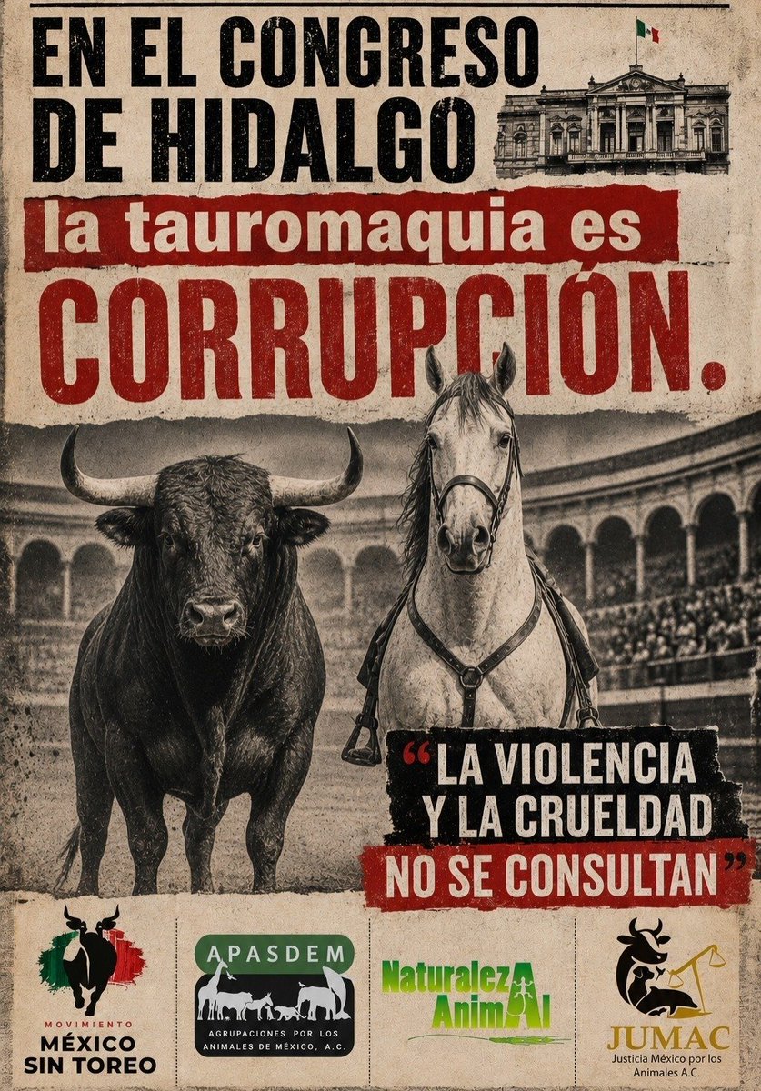 NaT_Animal's tweet photo. El estado de Hidalgo merece políticas públicas que construyan sociedades de paz, no plebiscitos que pretendan perpetuar la violencia.
@gobiernohidalgo @CongresoHidalgo
@AnimaNat_Mexico 
#CongresoHidalgoCorrupcion
#ViolenciaNoSeConsulta
#ConsultaInconstitucional
#MexicoSinToreo https://t.co/taHhKVK3GO