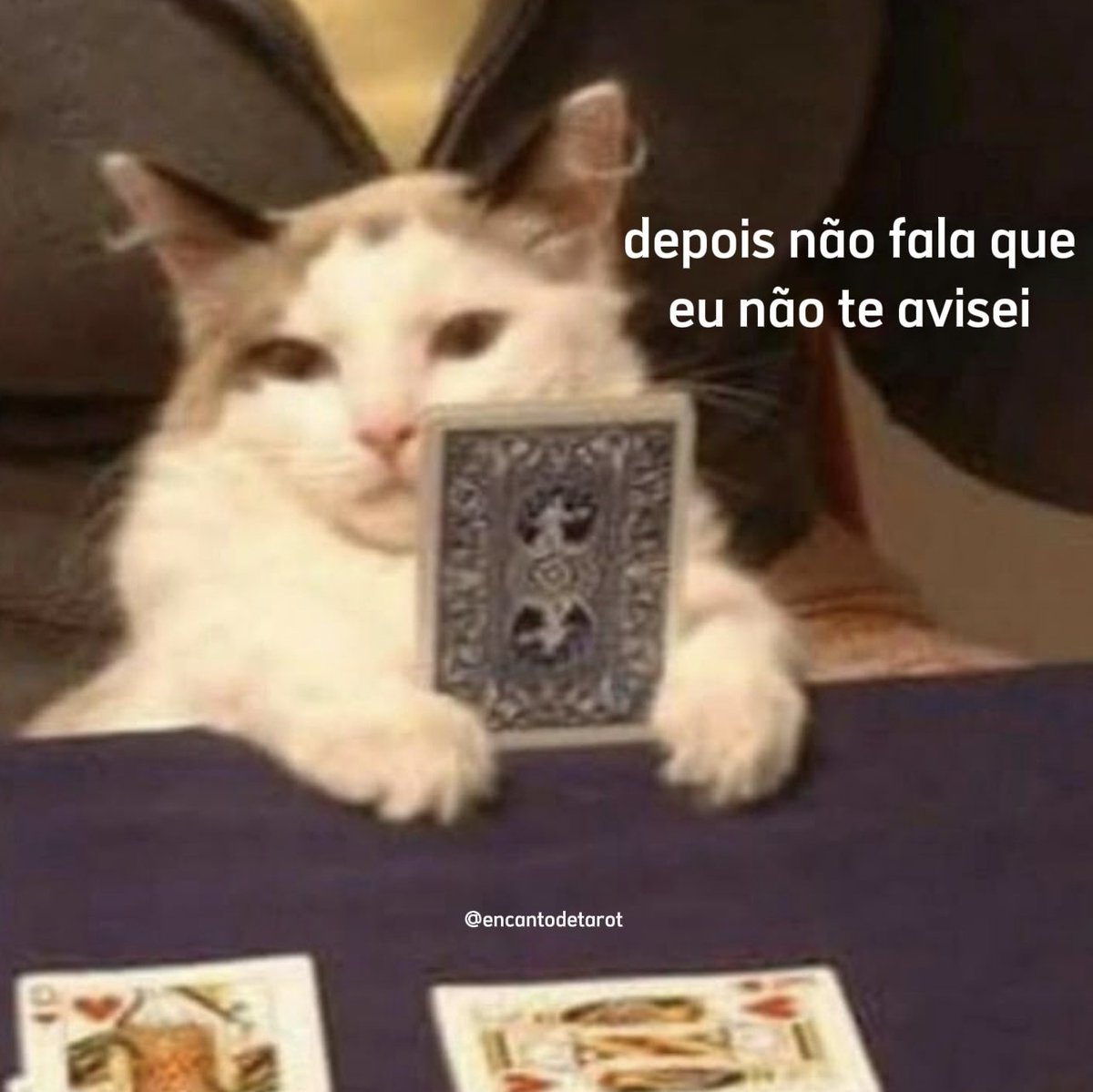 ✨ Encanto de Tarot | Bruna tweet media